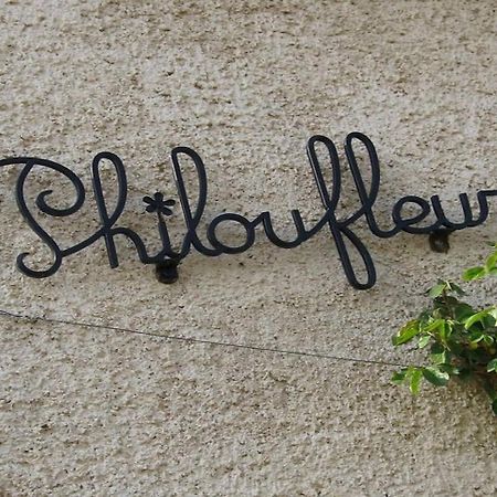 Philoufleur - Gite Restaure En Campagne Chaneins エクステリア 写真