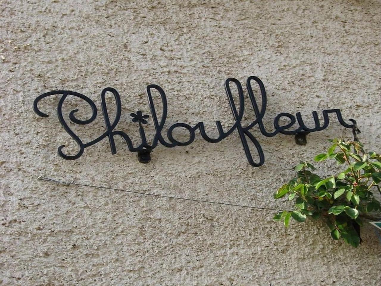 Philoufleur - Gite Restaure En Campagne Chaneins エクステリア 写真